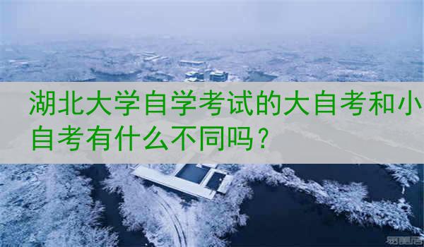 湖北大学自学考试的大自考和小自考有什么不同吗？