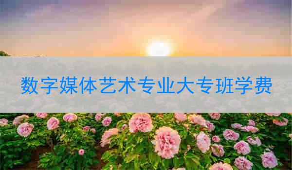 数字媒体艺术专业大专班学费