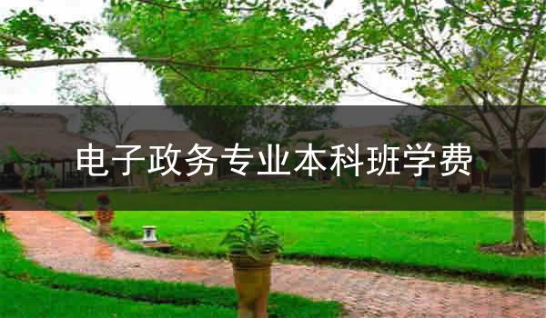 电子政务专业本科班学费