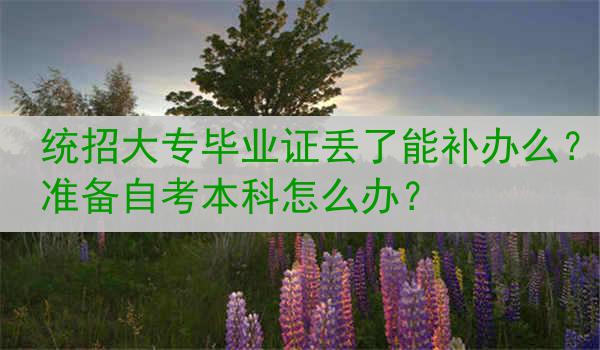 统招大专毕业证丢了能补办么？准备自考本科怎么办？