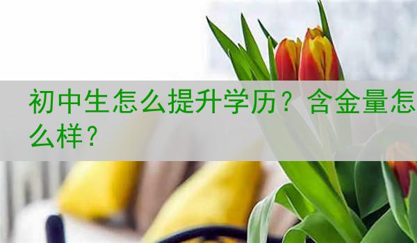 初中生怎么提升学历？含金量怎么样？