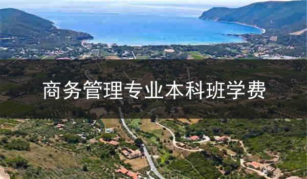 商务管理专业本科班学费