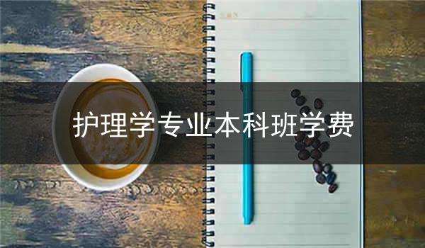 护理学专业本科班学费
