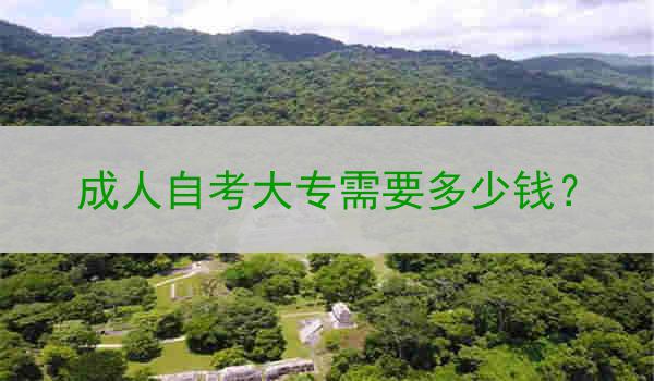 成人自考大专需要多少钱？