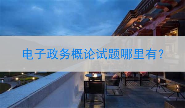 电子政务概论试题哪里有？