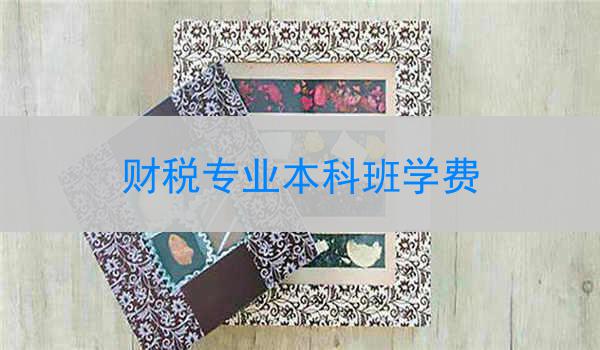 财税专业本科班学费