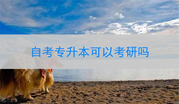 自考专升本可以考研吗