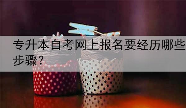 专升本自考网上报名要经历哪些步骤？