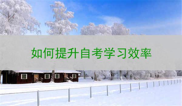如何提升自考学习效率