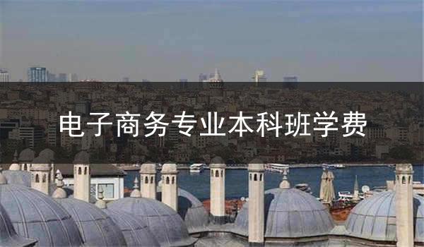 电子商务专业本科班学费