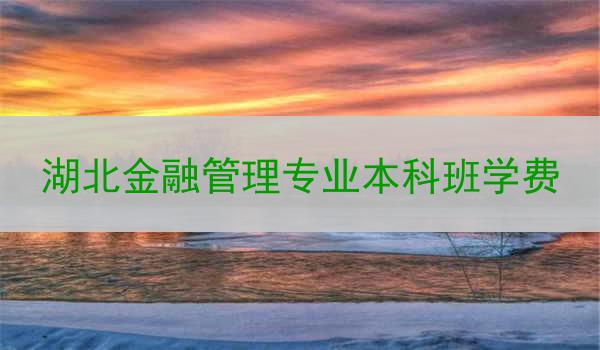 湖北金融管理专业本科班学费