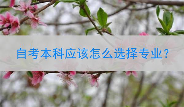 自考本科应该怎么选择专业?