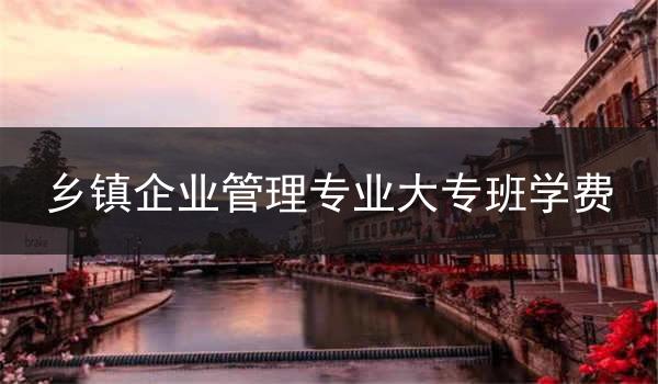 乡镇企业管理专业大专班学费