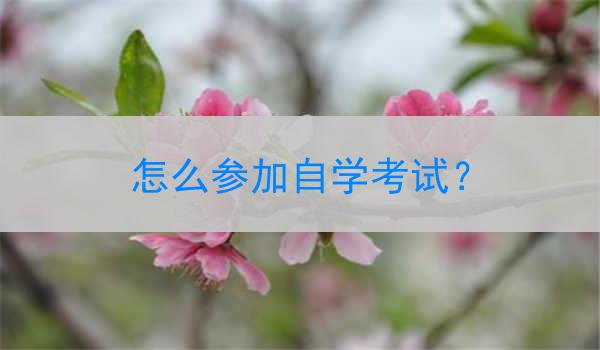 怎么参加自学考试？