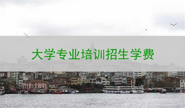 大学专业培训招生学费