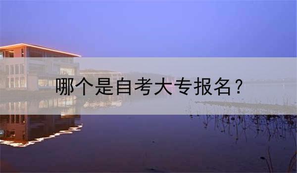 哪个是自考大专报名？