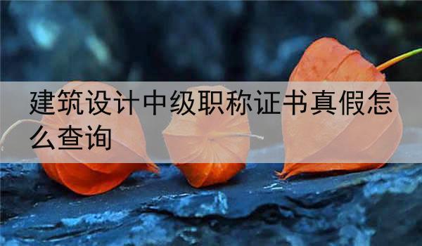 建筑设计中级职称证书真假怎么查询