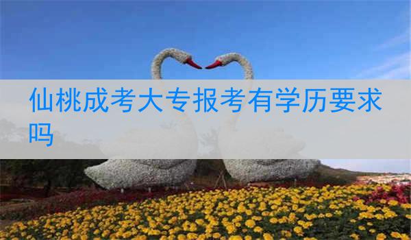 仙桃成考大專報(bào)考有學(xué)歷要求嗎
