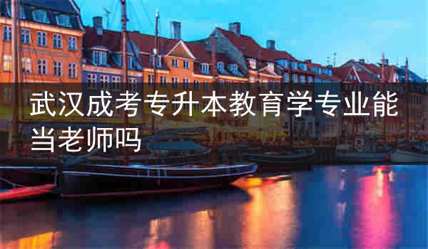 武漢成考專升本教育學專業(yè)能當老師嗎