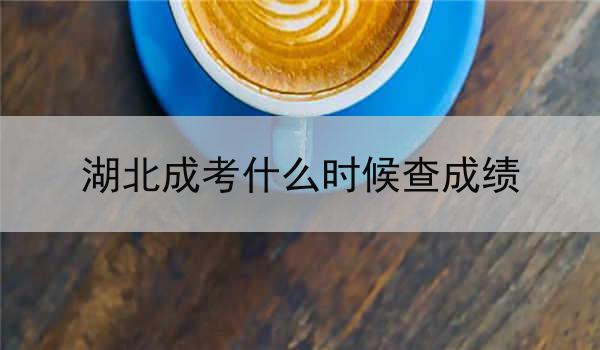 湖北成考什么時候查成績