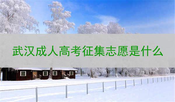 武漢成人高考征集志愿是什么