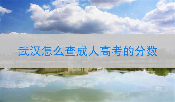 武漢怎么查成人高考的分?jǐn)?shù)