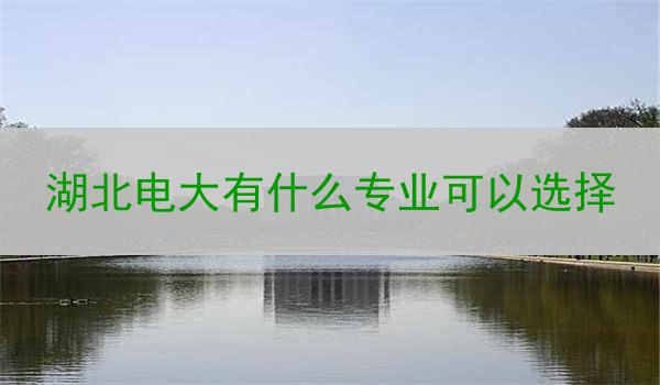 湖北电大有什么专业可以选择