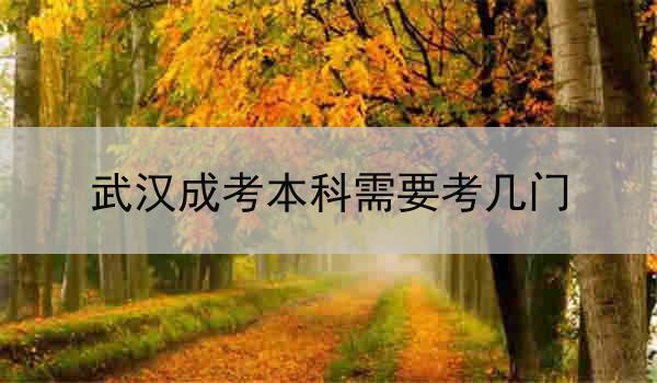 武漢成考本科需要考幾門