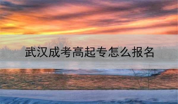 武漢成考高起專怎么報(bào)名