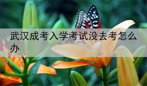 武漢成考入學考試沒去考怎么辦