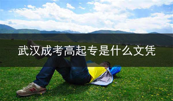 武漢成考高起專是什么文憑