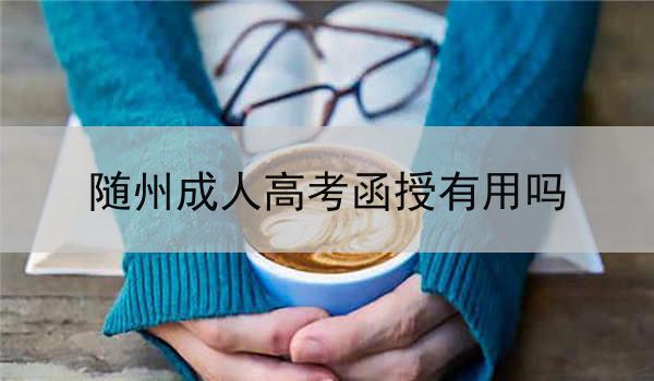 隨州成人高考函授有用嗎