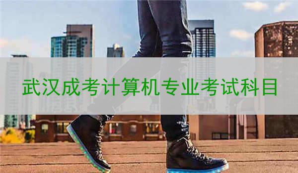 武漢成考計(jì)算機(jī)專業(yè)考試科目