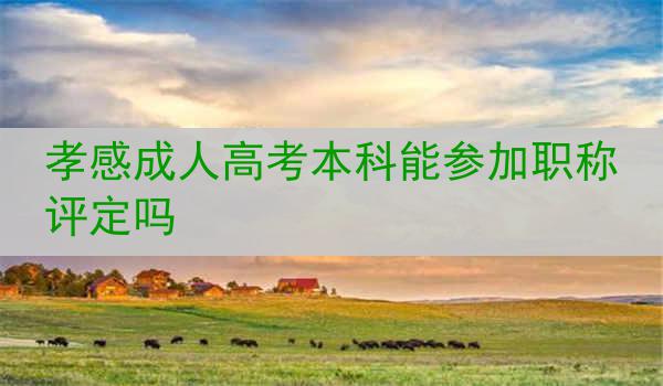 孝感成人高考本科能参加职称评定吗