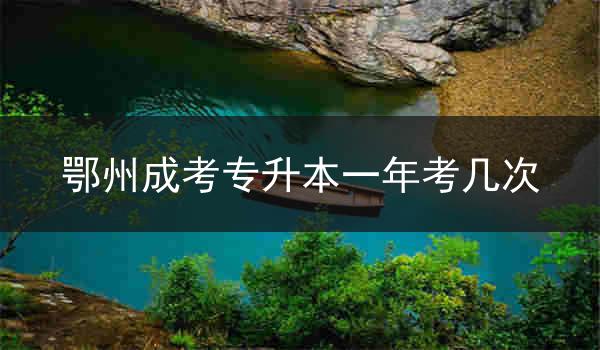 鄂州成考专升本一年考几次