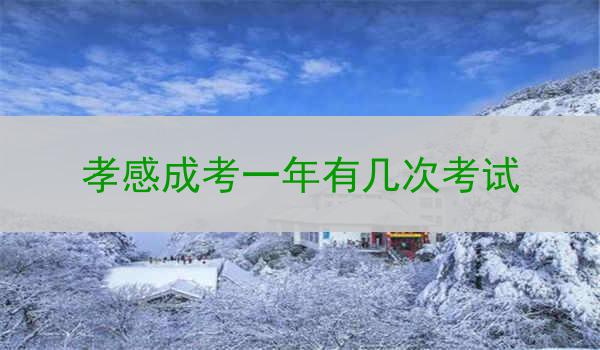 孝感成考一年有几次考试