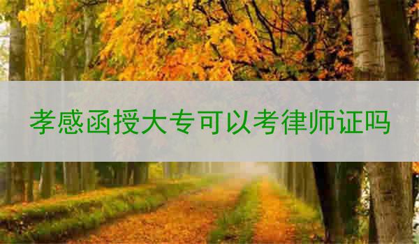 孝感函授大专可以考律师证吗