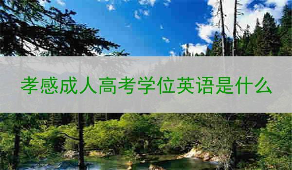 孝感成人高考学位英语是什么
