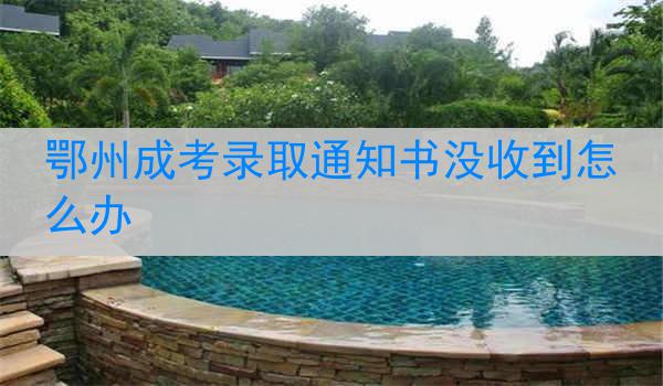 鄂州成考录取通知书没收到怎么办
