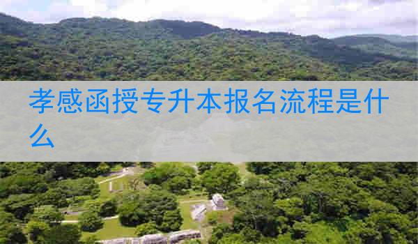 孝感函授专升本报名流程是什么