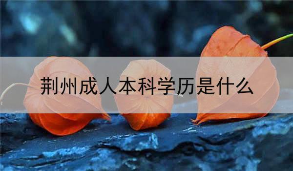 荆州成人本科学历是什么