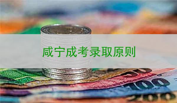 咸宁成考录取原则