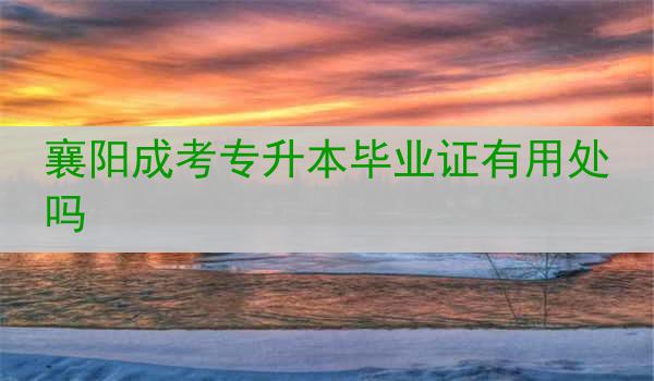 襄阳成考专升本毕业证有用处吗
