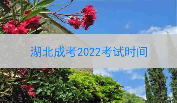 湖北成考2022考试时间