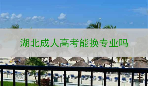 湖北成人高考能换专业吗