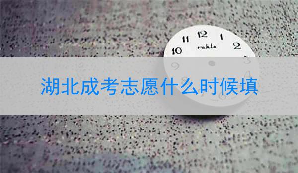 湖北成考志愿什么时候填
