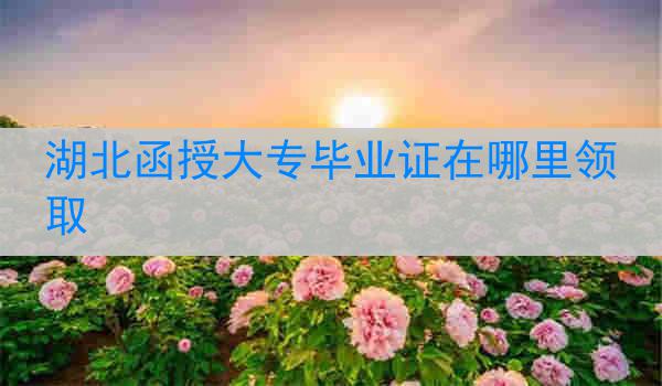 湖北函授大专毕业证在哪里领取
