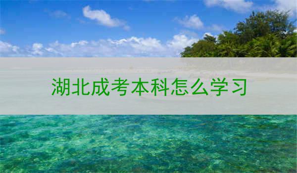 湖北成考本科怎么学习
