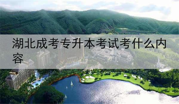 湖北成考专升本考试考什么内容