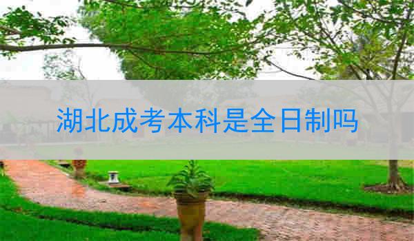 湖北成考本科是全日制吗